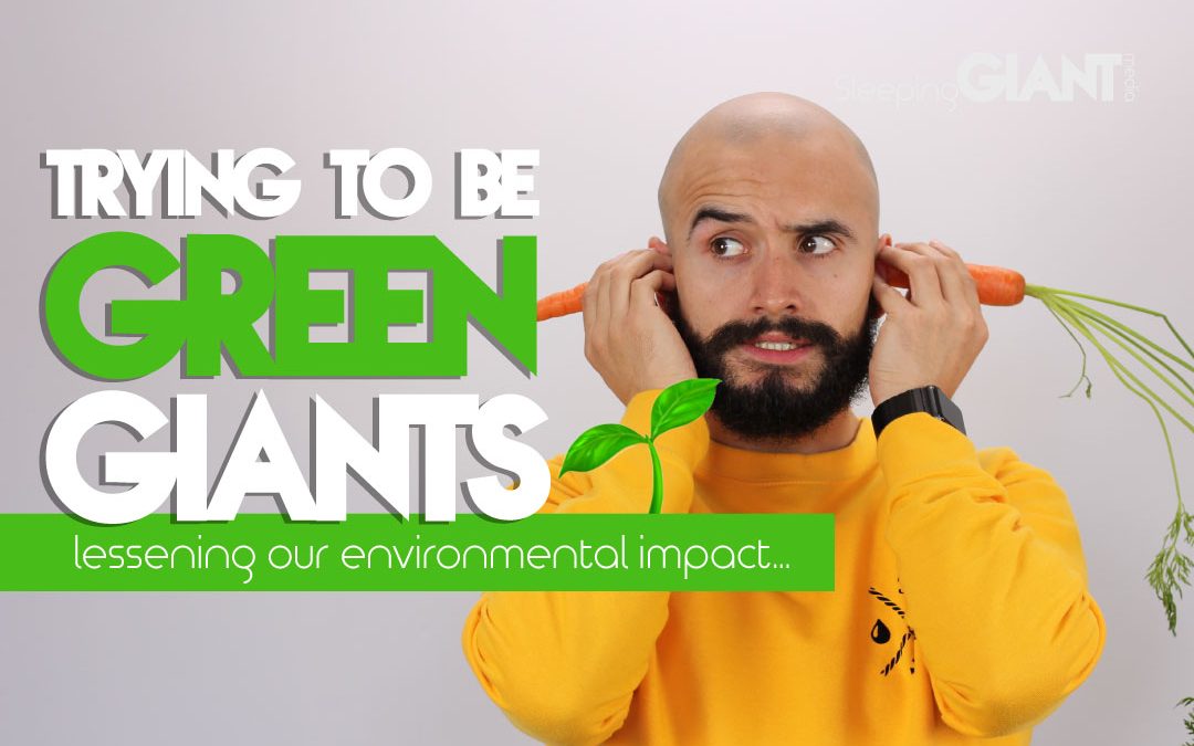 How We Are Lessening Our Environmental Impact