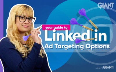 LinkedIn Ads Audience Targeting Options In 2021