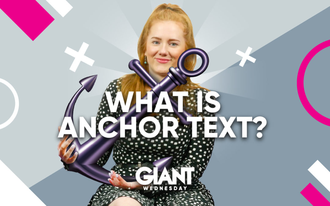 What is Anchor Text?