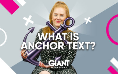 What is Anchor Text?
