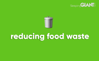 Five Foolproof Tips to Reduce Food Waste